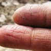 Hand-salvan eko - Bild 2