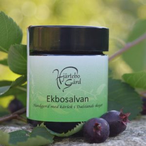 Ekbo - salvan eko