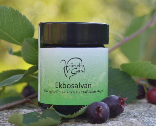 Ekbo - salvan eko