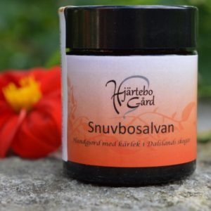 Snuvbo-salvan - eko