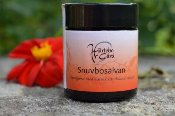 Snuvbo-salvan - eko